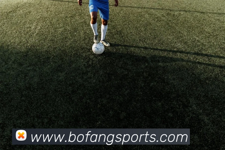 体育下注APP 封面图